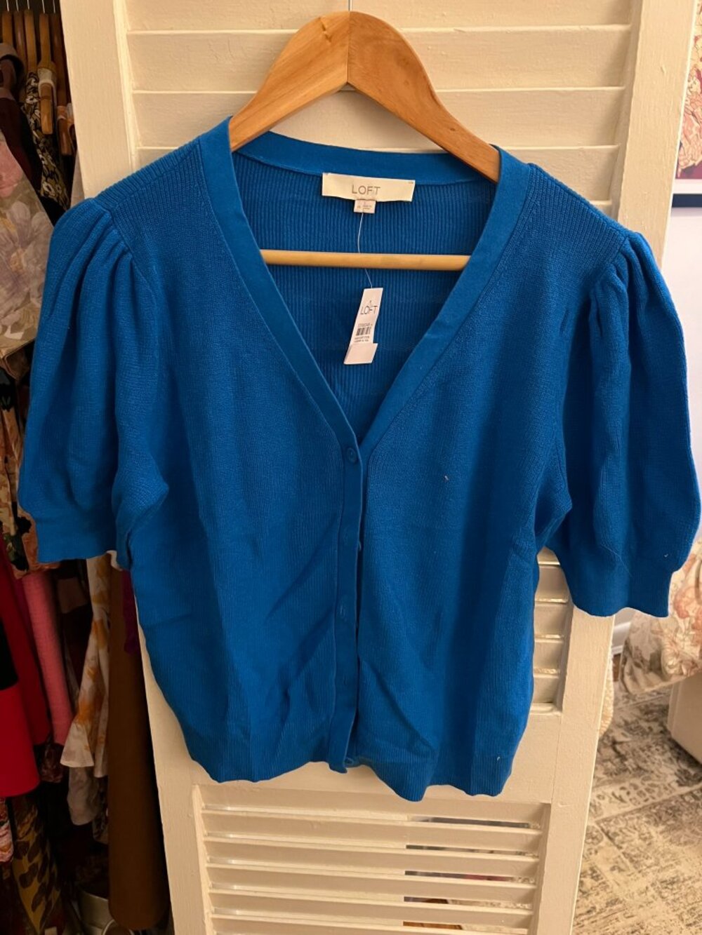 Blue Loft Cardigan